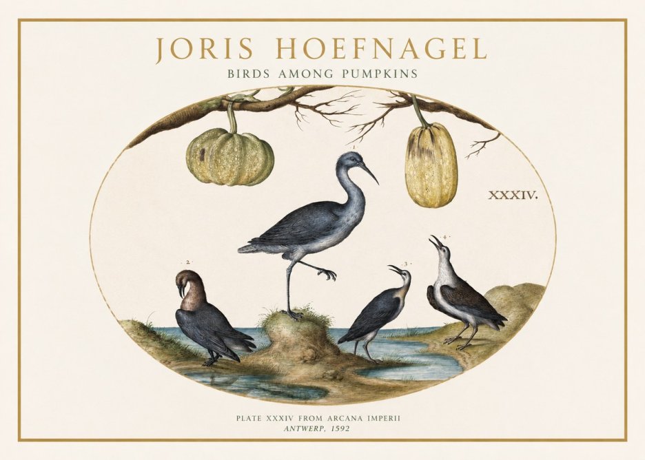Joris Hoefnagel Birds and Fruits No2 - Póster