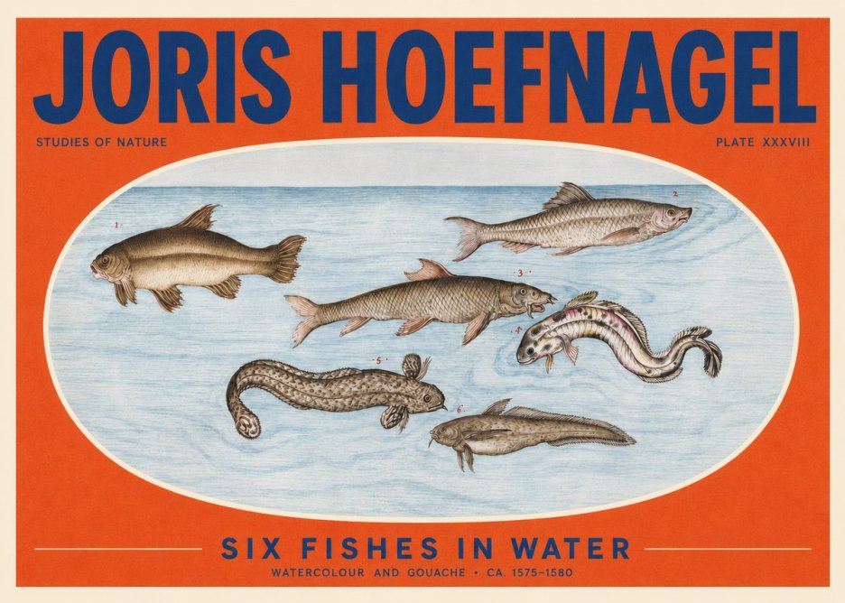 Joris Hoefnagel Six Fishes in Water II No2 - Póster