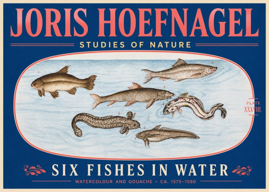 Joris Hoefnagel Six Fishes in Water II No5 - Póster