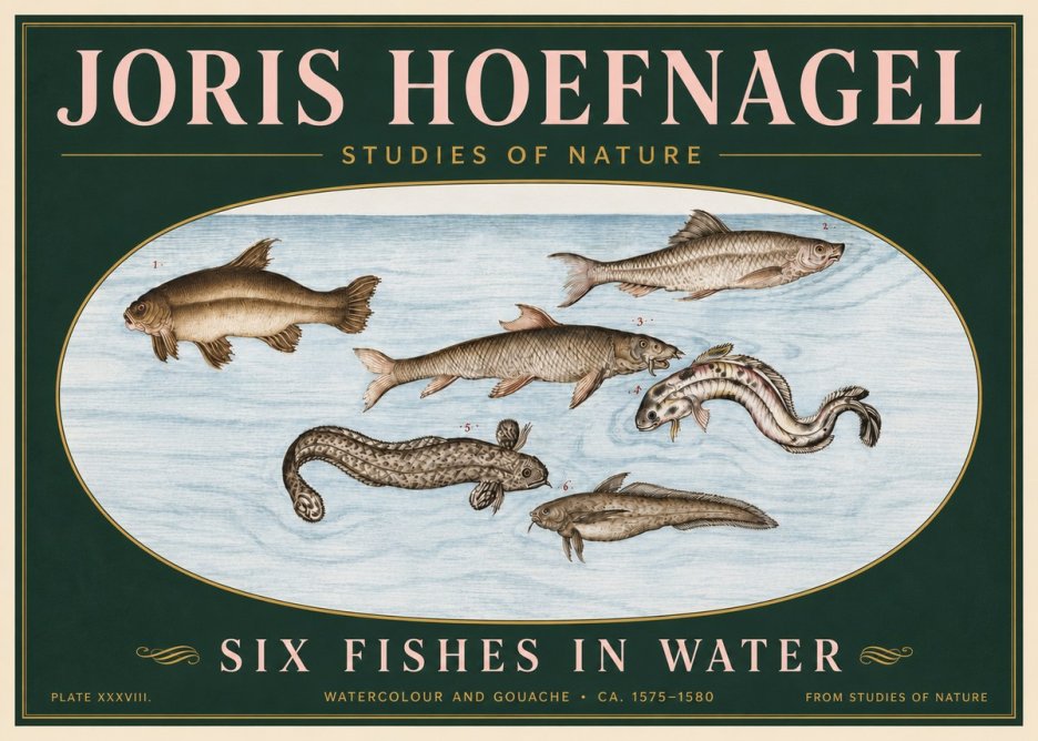 Joris Hoefnagel Six Fishes in Water II No6 - Póster