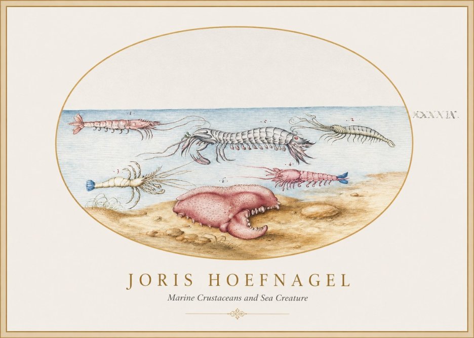 Joris Hoefnagel Marine Crustaceans and Sea Creature No1 - Póster