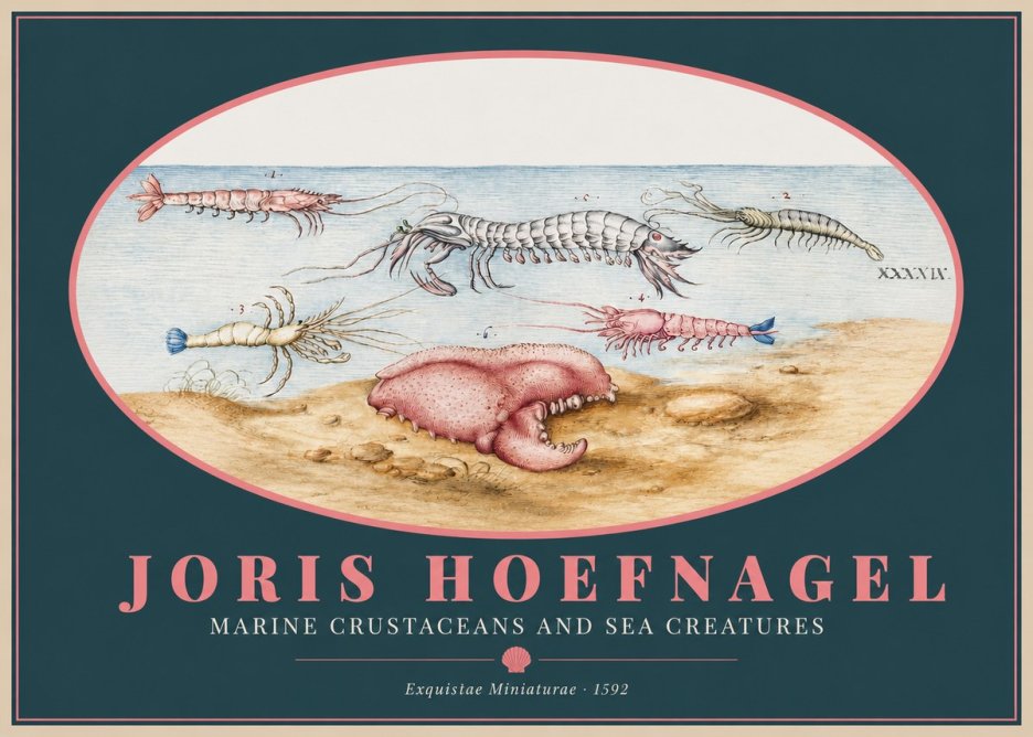 Joris Hoefnagel Marine Crustaceans and Sea Creature No2 - Póster