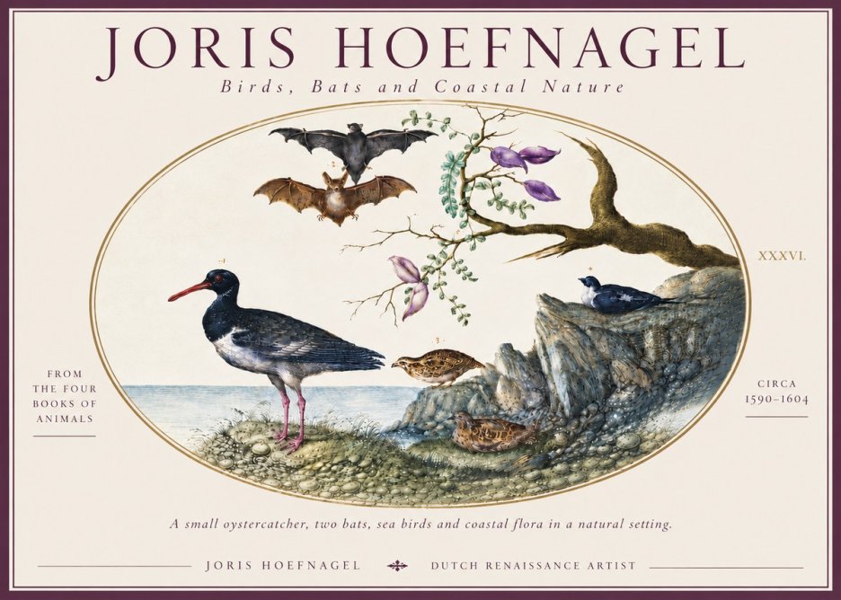 Joris Hoefnagel Birds, Bats and Coastal Nature No6 - Póster