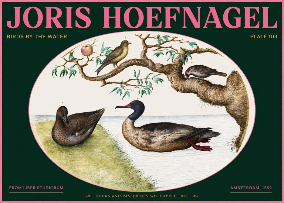 Joris Hoefnagel Ducks and Passerines with Apple Tree No2 - Póster