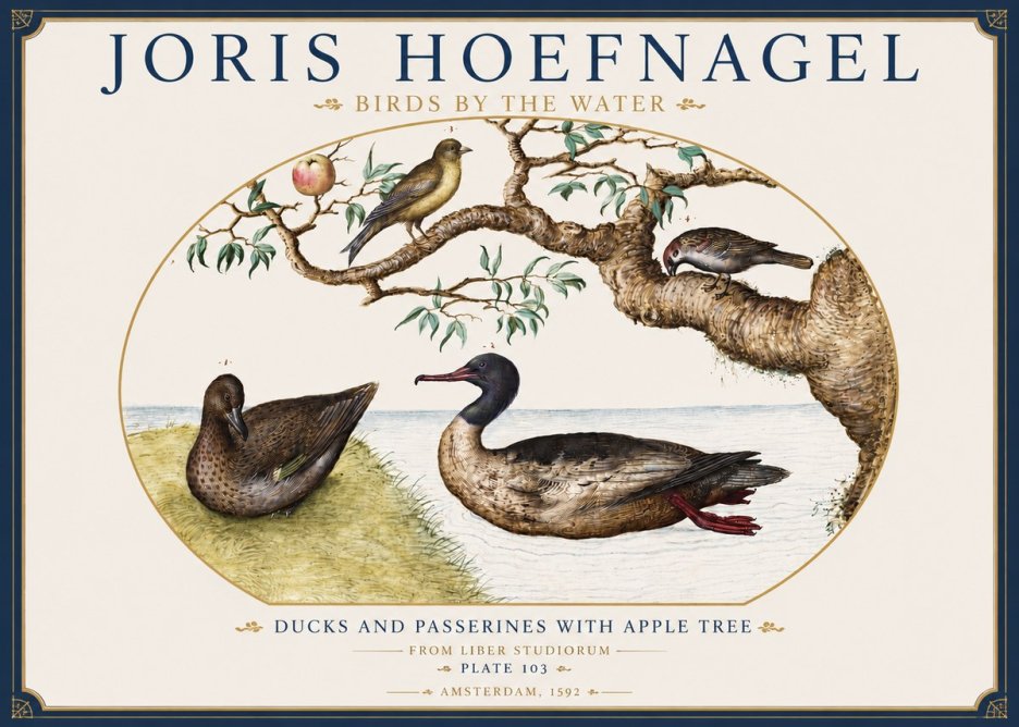 Joris Hoefnagel Ducks and Passerines with Apple Tree No3 - Póster