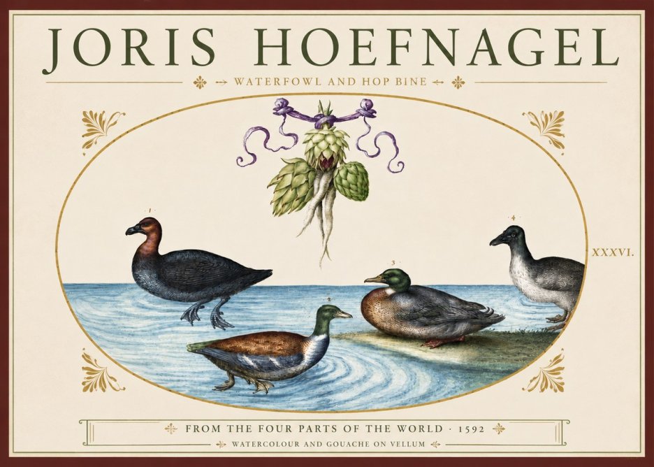 Joris Hoefnagel Waterfowl and Hop Bine No3 - Póster