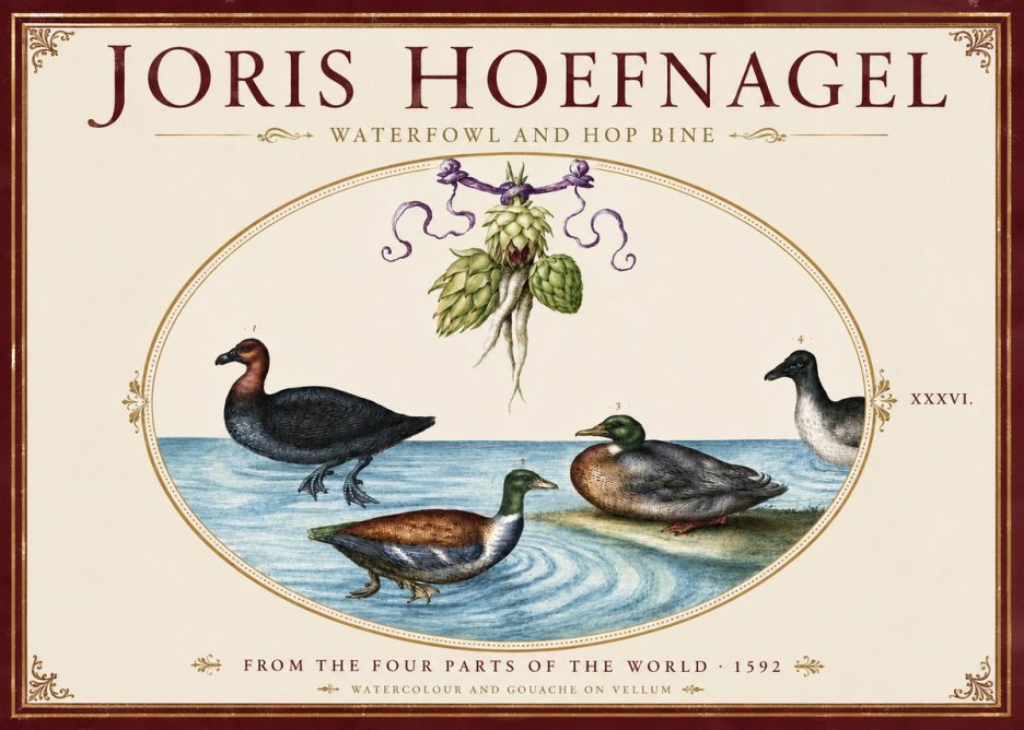 Joris Hoefnagel Waterfowl and Hop Bine No4 - Póster