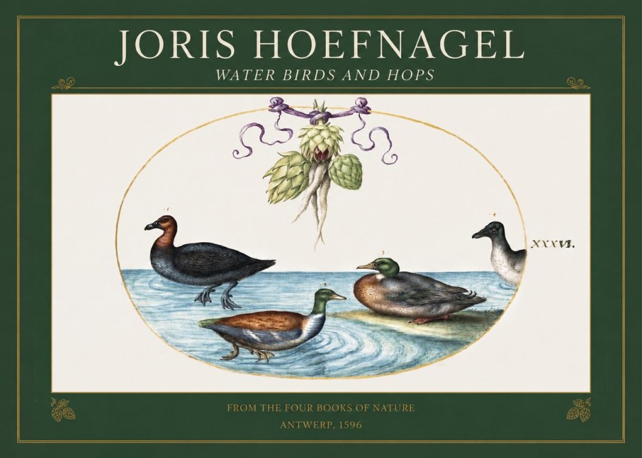 Joris Hoefnagel Waterfowl and Hop Bine No5 - Póster