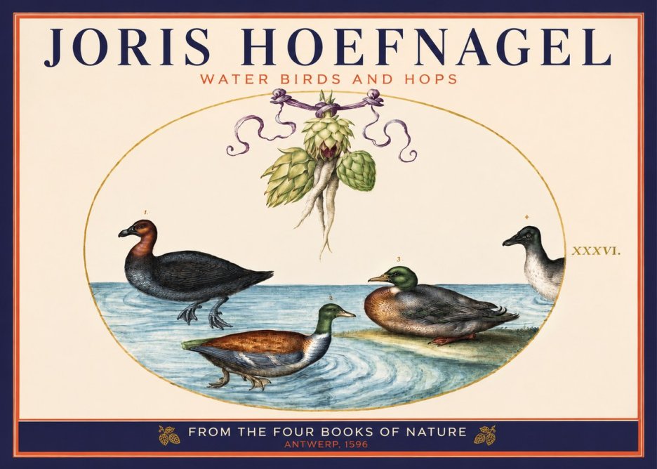 Joris Hoefnagel Waterfowl and Hop Bine No6 - Póster