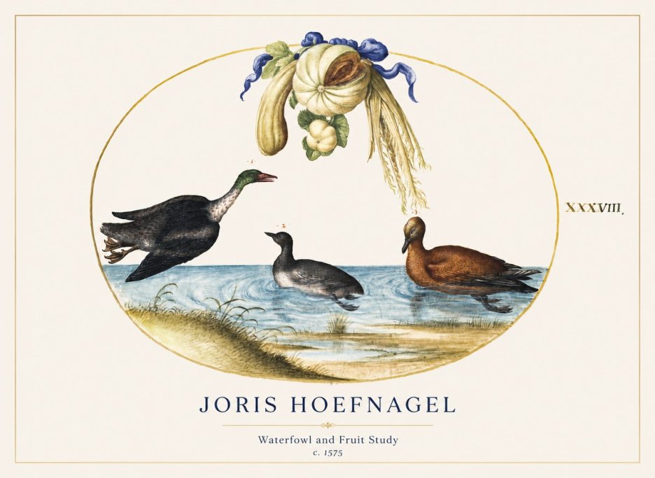 Joris Hoefnagel Waterfowl and Fruit Study No1 - Póster