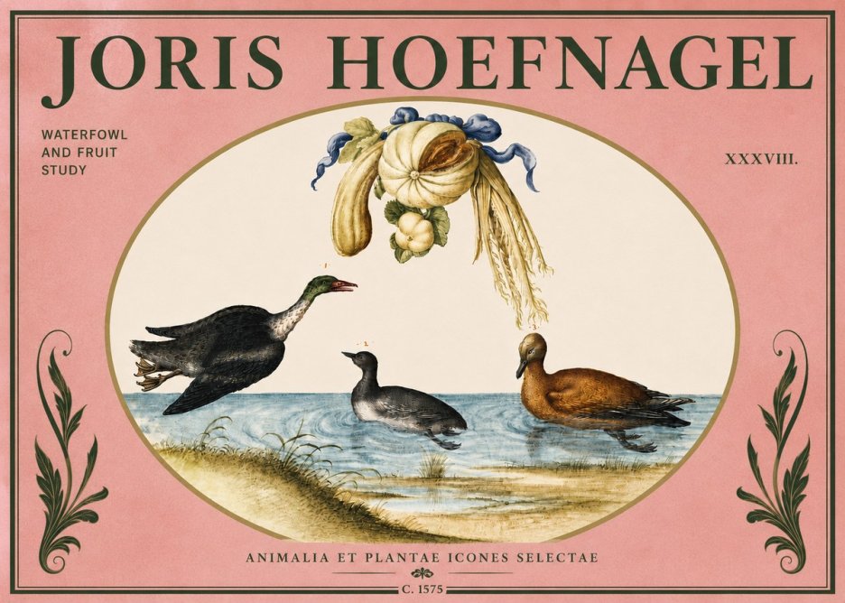 Joris Hoefnagel Waterfowl and Fruit Study No4 - Póster