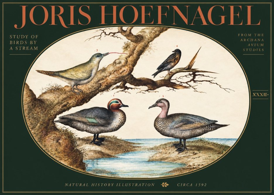 Joris Hoefnagel Study of Birds by a Stream No3 - Póster