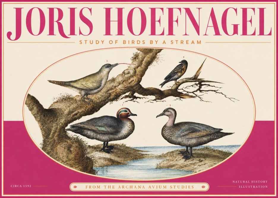 Joris Hoefnagel Study of Birds by a Stream No4 - Póster