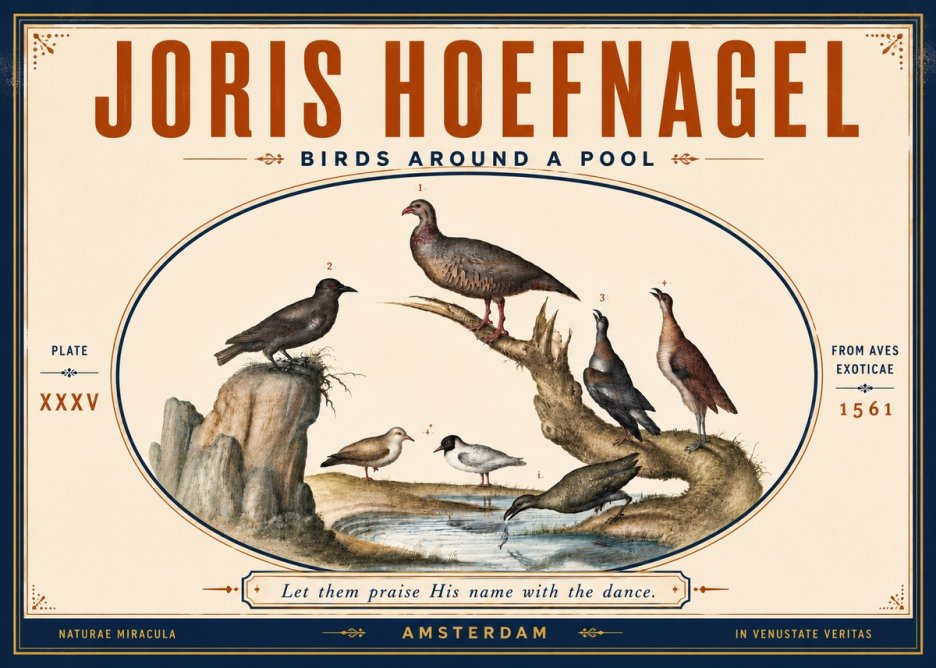 Joris Hoefnagel Birds Around a Pool No5 - Póster
