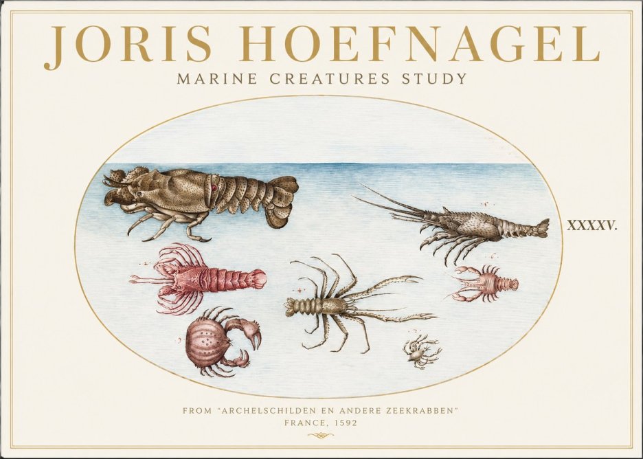 Joris Hoefnagel Studies of Crustaceans No2 - Póster