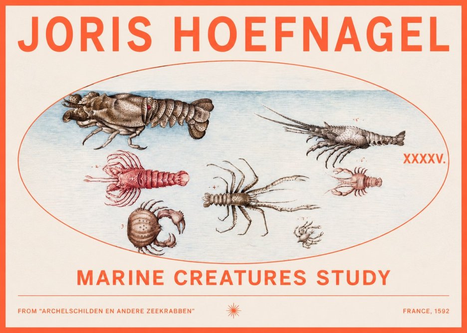 Joris Hoefnagel Studies of Crustaceans No3 - Póster