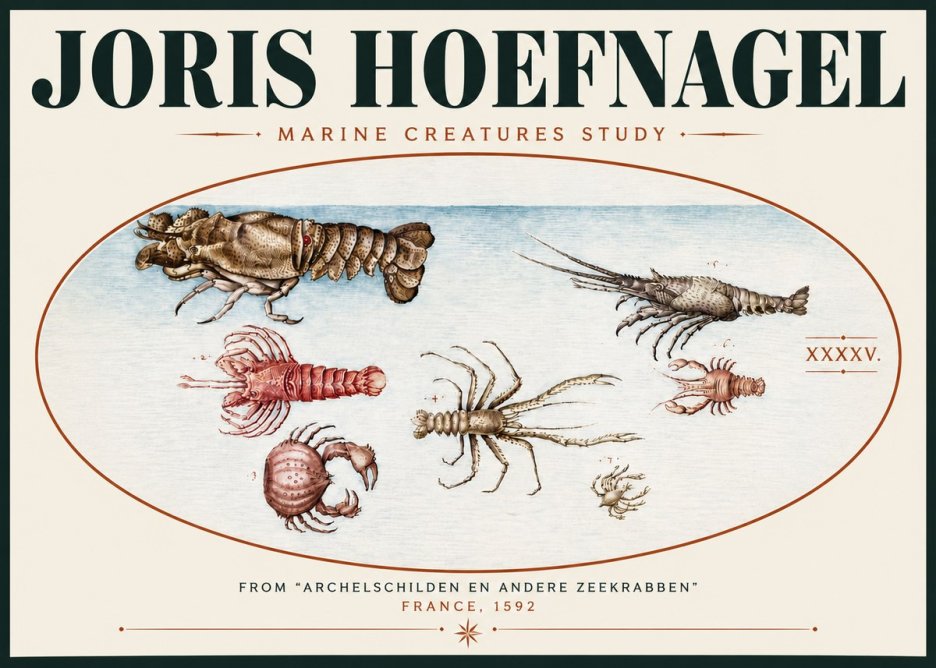 Joris Hoefnagel Studies of Crustaceans No6 - Póster