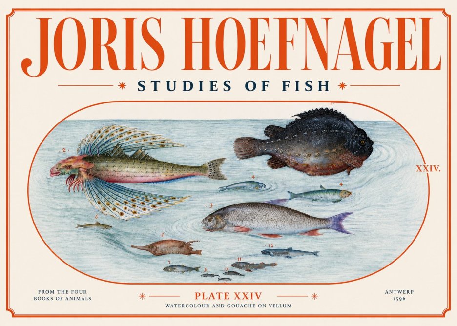 Joris Hoefnagel Studies of Fish II No4 - Póster