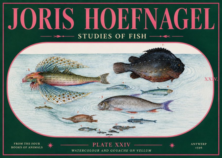 Joris Hoefnagel Studies of Fish II No5 - Póster