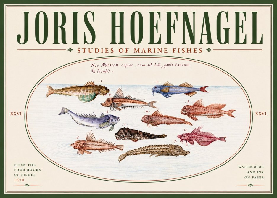 Joris Hoefnagel Studies of Marine Fishes No6 - Póster