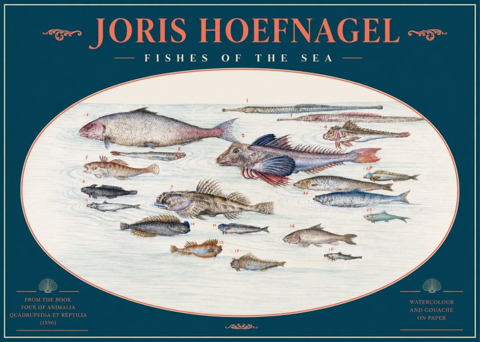 Joris Hoefnagel Fishes of the Sea III No2 - Póster