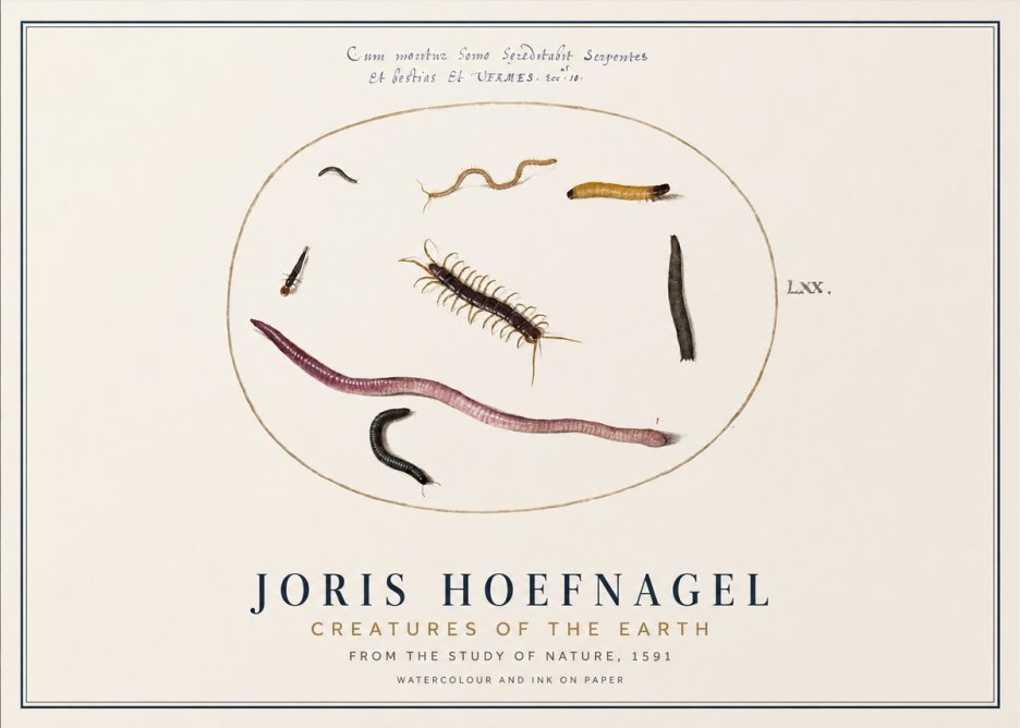 Joris Hoefnagel Creatures of the Earth II No1 - Póster