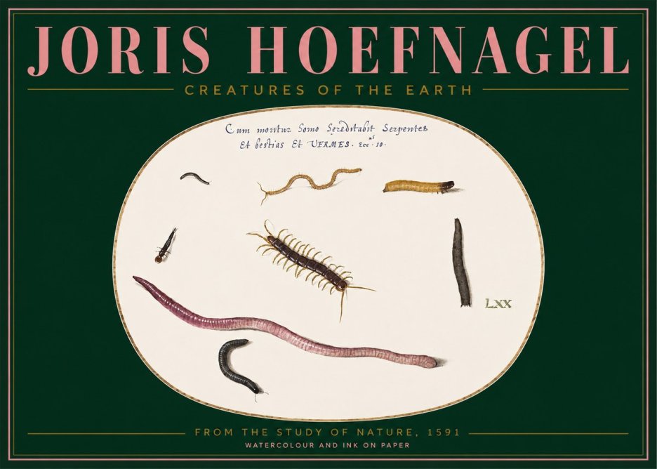 Joris Hoefnagel Creatures of the Earth II No2 - Póster
