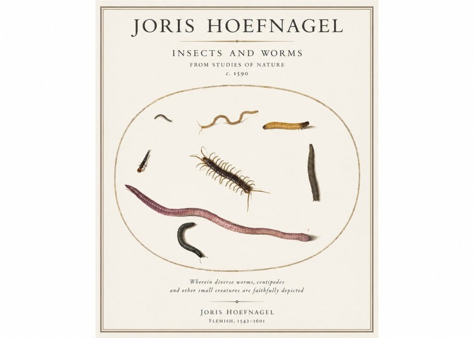 Joris Hoefnagel Creatures of the Earth II No5 - Póster