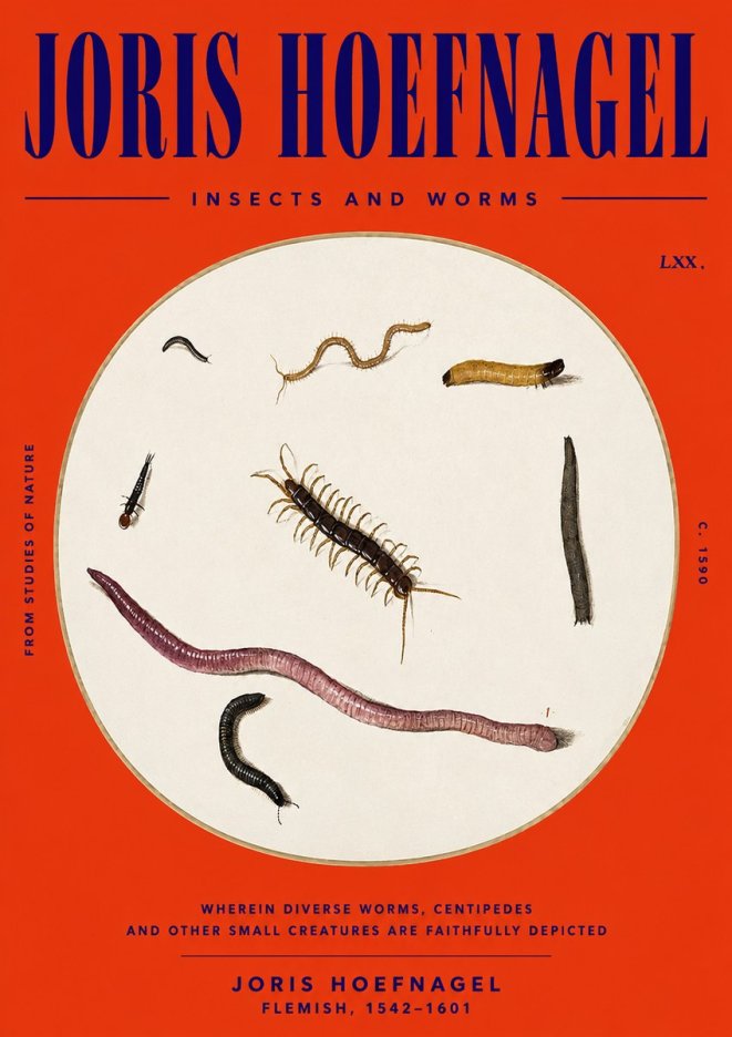 Joris Hoefnagel Creatures of the Earth II No6 - Póster