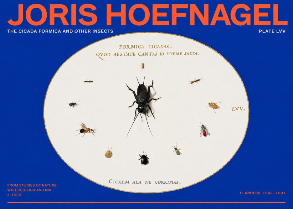 Joris Hoefnagel Formica Cicadae No6 - Póster