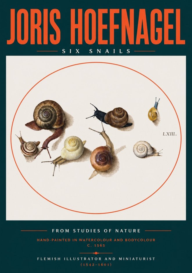 Joris Hoefnagel Six Snails No2 - Póster