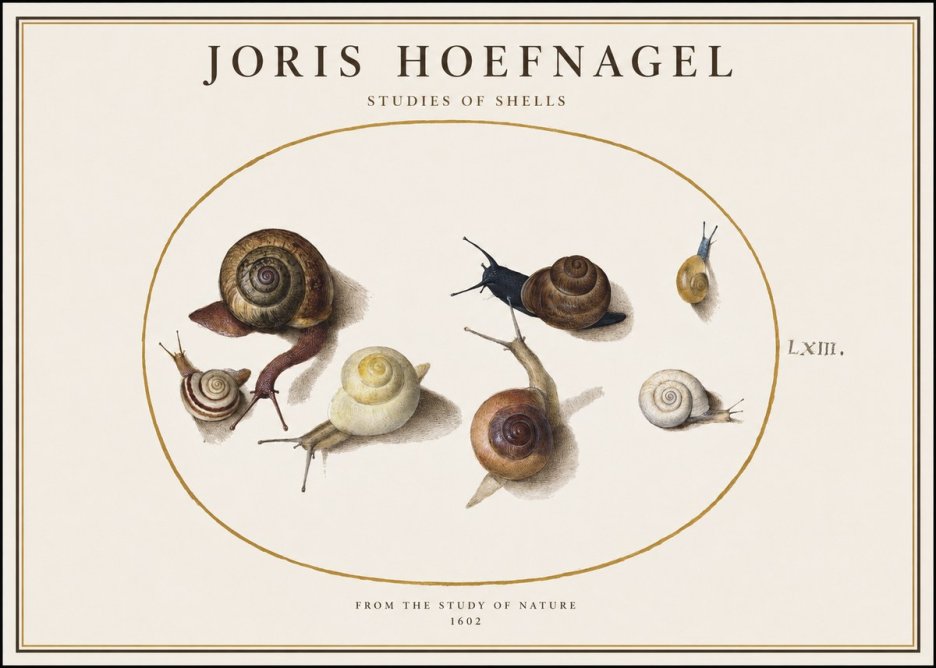 Joris Hoefnagel Six Snails No4 - Póster