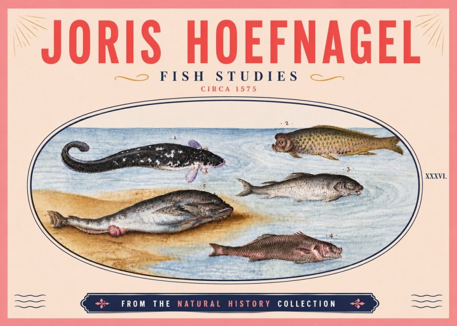 Joris Hoefnagel Fish Studies No6 - Póster