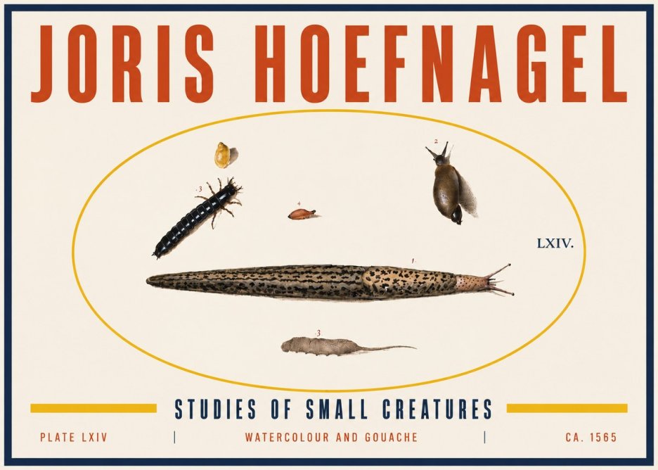 Joris Hoefnagel Plate Lxiv No6 - Póster