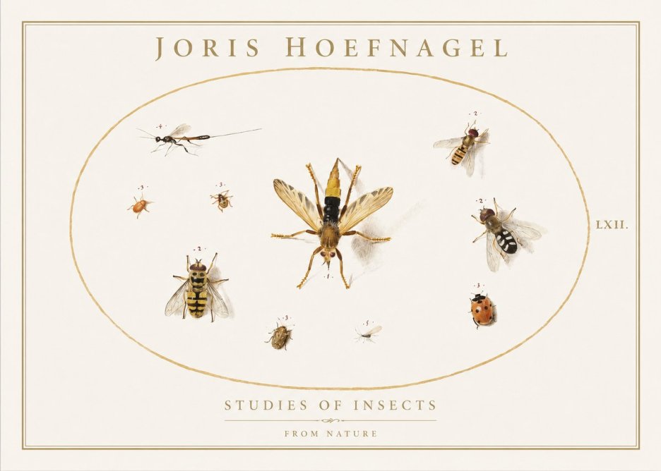 Joris Hoefnagel Studies of Insects IV No1 - Póster