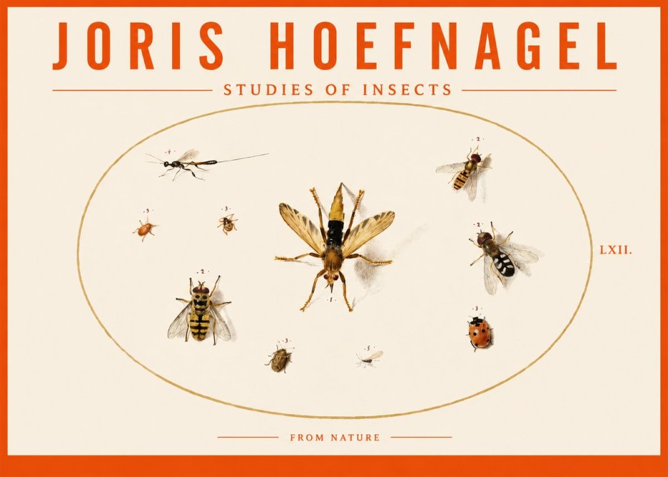 Joris Hoefnagel Studies of Insects IV No3 - Póster