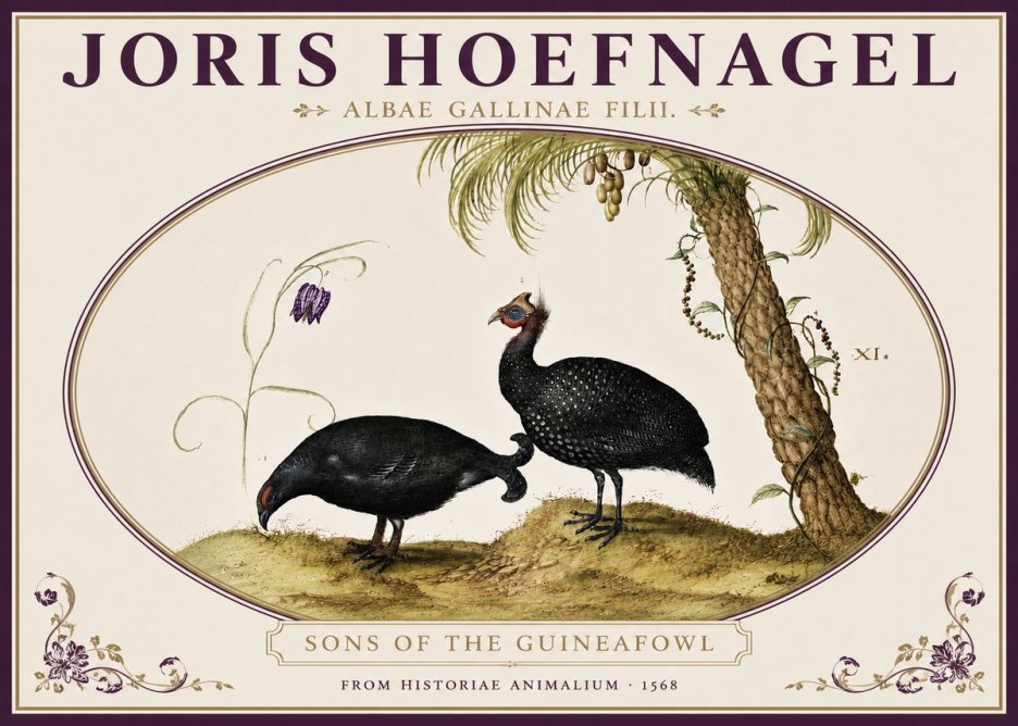 Joris Hoefnagel Albae Gallinae Filii. No4 - Póster