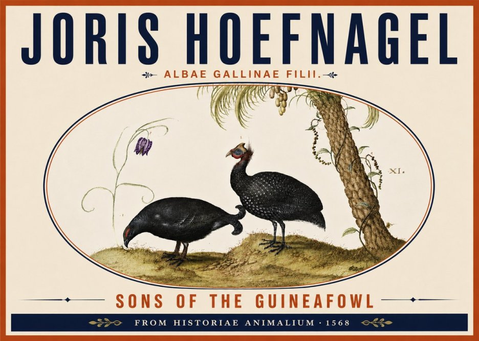 Joris Hoefnagel Albae Gallinae Filii. No6 - Póster