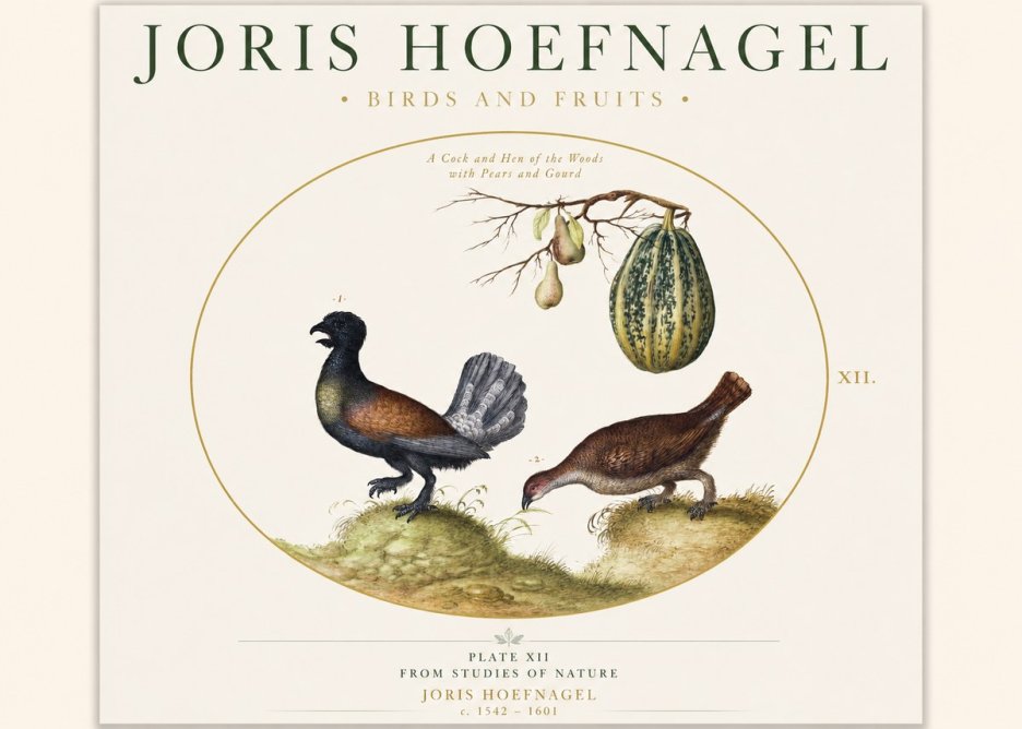 Joris Hoefnagel A Cock and Hen of the Woods with Pears and Gourd No1 - Póster