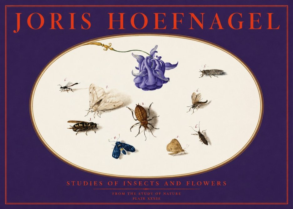 Joris Hoefnagel Studies of Insects and Flowers No6 - Póster