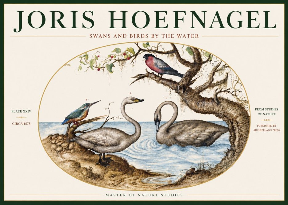 Joris Hoefnagel Swans and Birds by the Water No3 - Póster