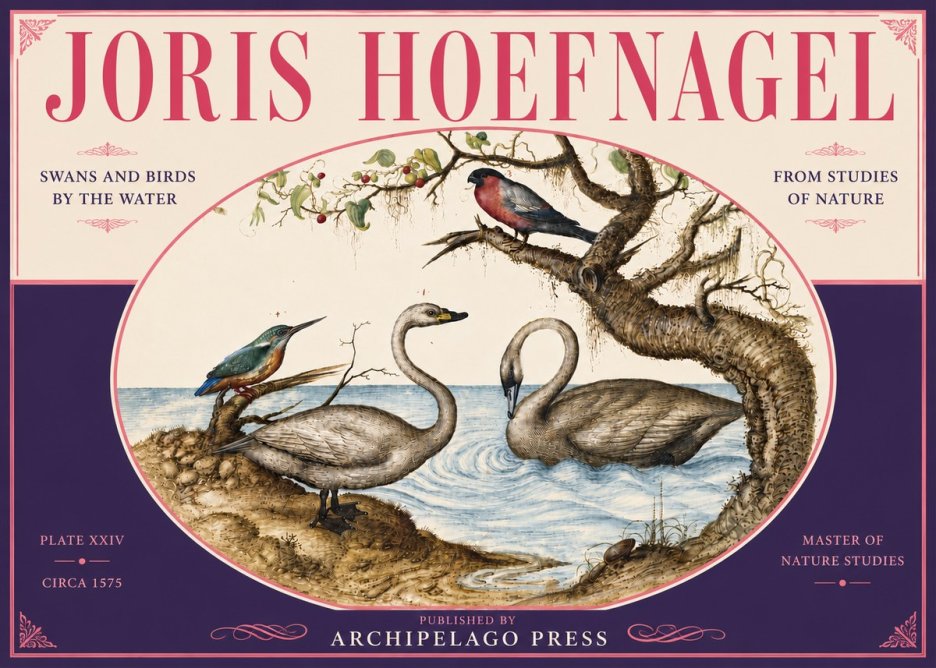 Joris Hoefnagel Swans and Birds by the Water No6 - Póster