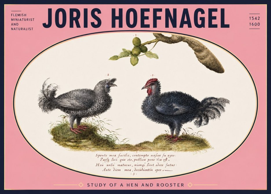Joris Hoefnagel Study of a Hen and Rooster No5 - Póster
