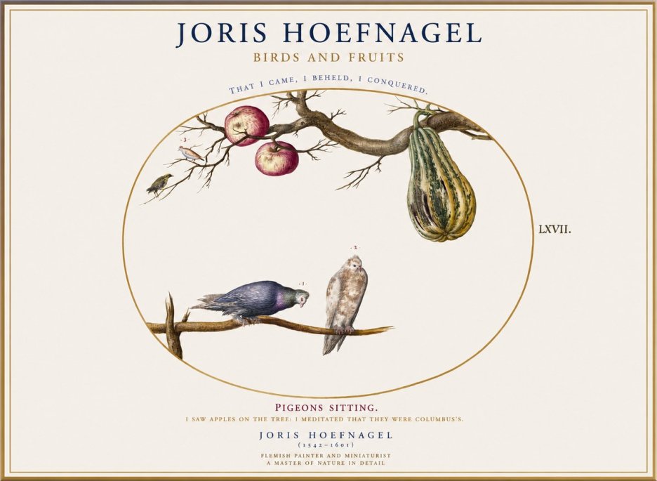 Joris Hoefnagel Pigeons Sitting. No1 - Póster