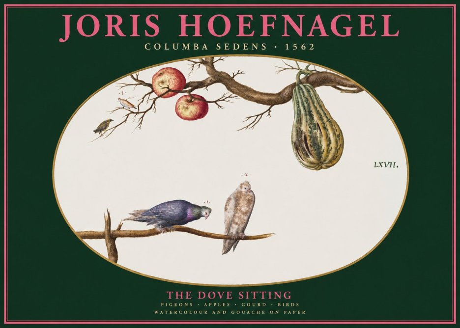 Joris Hoefnagel Pigeons Sitting. No3 - Póster