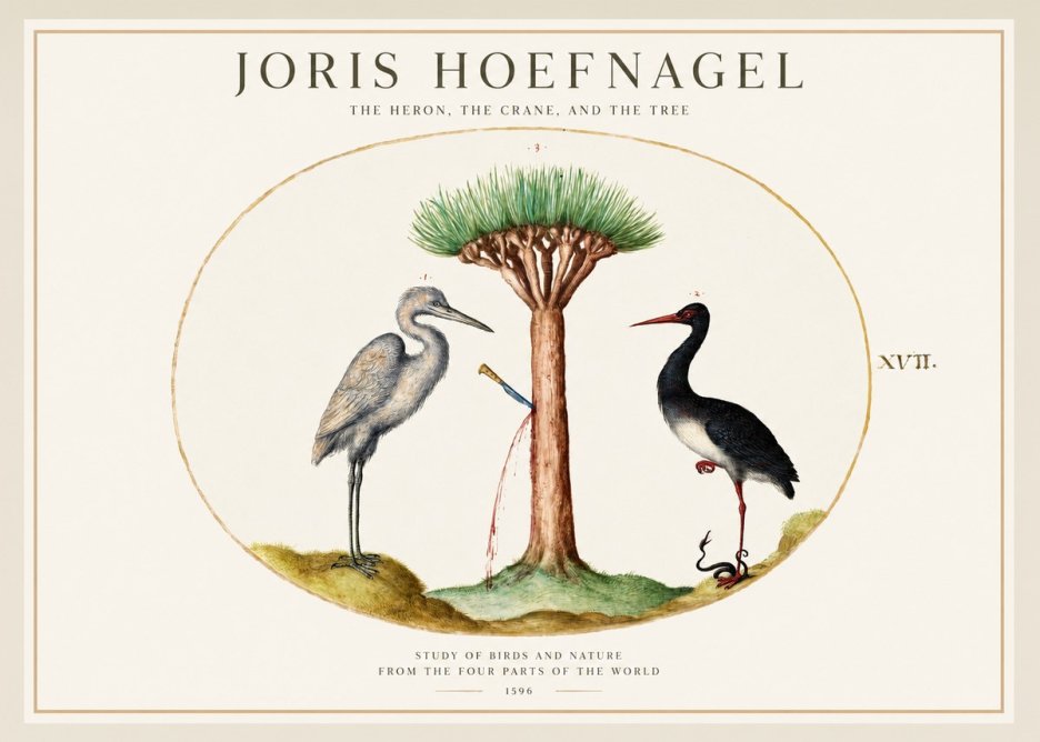 Joris Hoefnagel The Heron, the Crane, and the Tree No1 - Póster