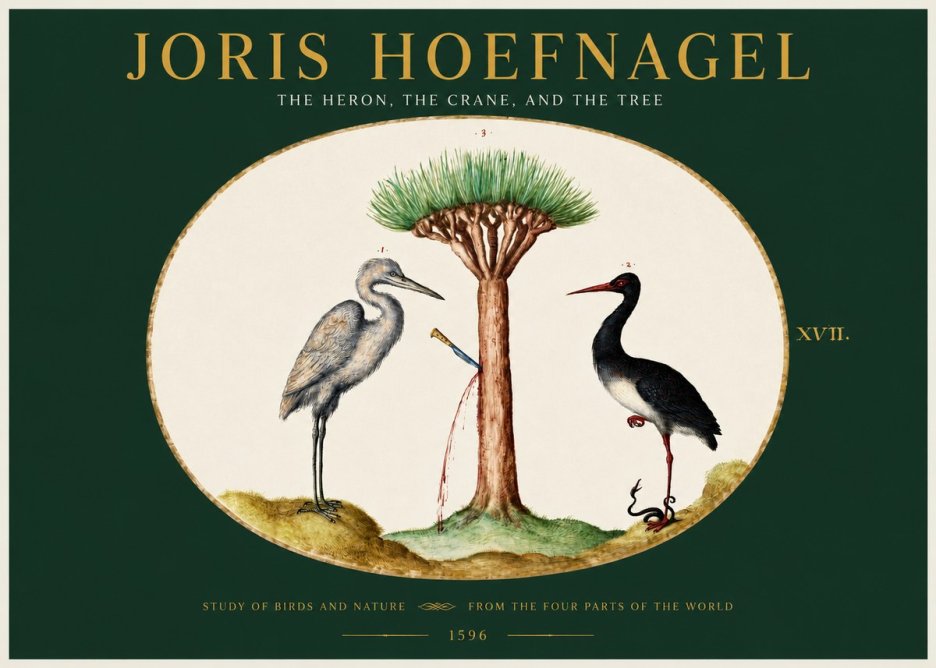 Joris Hoefnagel The Heron, the Crane, and the Tree No2 - Póster