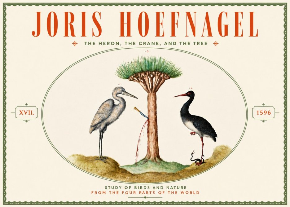 Joris Hoefnagel The Heron, the Crane, and the Tree No6 - Póster