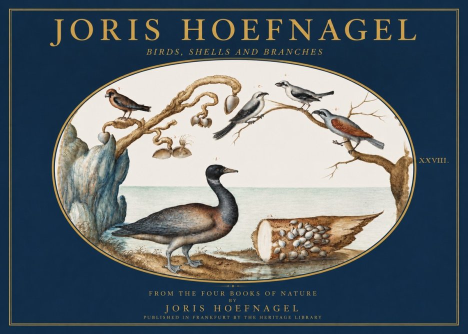Joris Hoefnagel Birds, Shells and Branches No2 - Póster