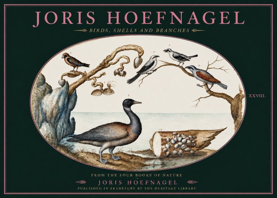 Joris Hoefnagel Birds, Shells and Branches No4 - Póster